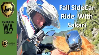 Fall SideCar Ride With Sakari
