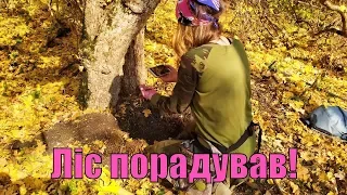 Ліс порадував! Несподівана знахідка! Життя як хобі.