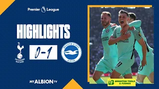 PL Highlights: Spurs 0 Albion 1