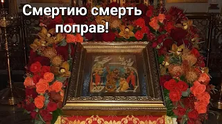 Делюсь Пасхальной радостью. Самый радостный день в году!