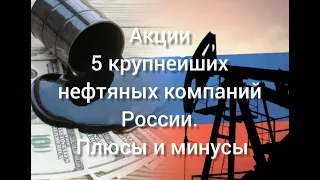 Акции 5 крупнейших нефтяных компаний России. Плюсы и минусы.