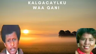 Saalax Qaasin & Hibo Nuura  |  Kalagacaylku Waa Qani.