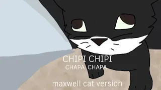 CHIPI CHIPI CHAPA CHAPA maxwell cat version