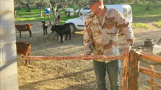 Voy a hacer la puerta de la baranda pistolera, menudo porchecino va a quedar