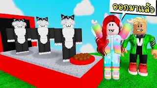 สร้างโรงงานผลิตอาหารเม็ดของปุ๊กปิ๊ก 😺🐶 Roblox Pet Empire Tycoon