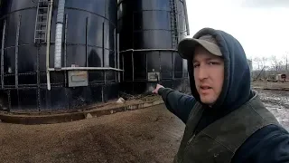 Feeding Out Of The Silo