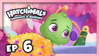 Hatchimals | Adventures in Hatchtopia S1 | Episode 6 – Your #1 Fan