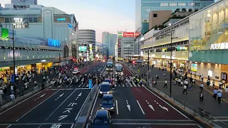 Cảnh tượng người Nhật qua đường ở Shinjuku, Tokyo