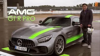 2020 Mercedes AMG GT R Pro and Family - DREAM DRIVE Road and Track  Review