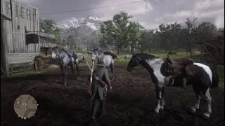 Red Dead Redemption 2 Trick To Get A Free Male Hungarian Halfbred Piebald Tobiano Early In Chapter 2