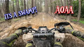 Ripping in the swamps! CanAm Renegade 1000xxc - Honda foreman 500 - AOAA