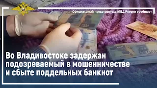 Ирина Волк: Во Владивостоке задержан подозреваемый в мошенничестве и сбыте поддельных банкнот