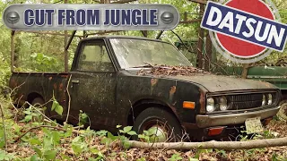 Abandoned Truck Cut Out Of Texas Jungle After 30 Years | Rescued 1977 Datsun 620 | RESTORED