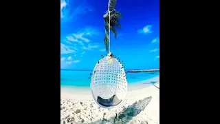 Dreaming of the Maldives Beach 💗 Beautyful Whatsapp status Maldives Nature Scenery Moment 😀4k Nature