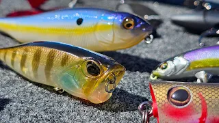 Don't Miss These 5 Overlooked Topwater Baits! They're Amazing!!