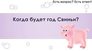 Когда будет год Свиньи? [156]