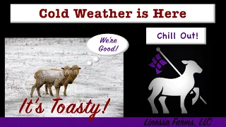 Cold Outside?  Your Sheep and Goats Are Warmer Than You Think!