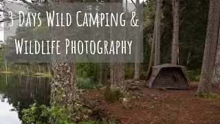 Wildlife Photography and Wild Camping | 3 Days in the Cairngorms, Scotland