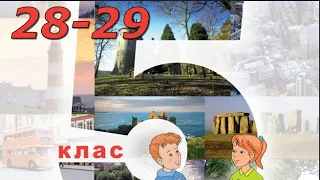 NEW!!! Будна 5 НУШ Unit 2 School Life. Lesson 1 pp.28-29 Student's Book Відеоурок