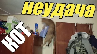 КОТЫ НЕУДАЧНИКИ !!! Самая смешная подборка! =)