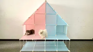 DIY Prefab House for Pomeranian Poodle puppies & New kitten - Building House Fun Dog Video 2
