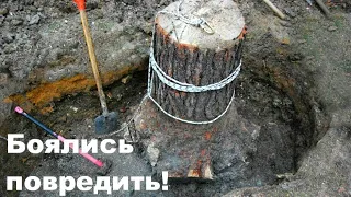 ПЕНЬ РВАЛИ РУКАМИ.ЧТОБЫ НЕ ПОВРЕДИТЬ НАХОДКУ ПОД НИМ.