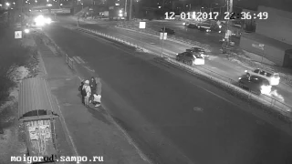 Водитель сбил сразу двух собак на «зебре» в Петрозаводске