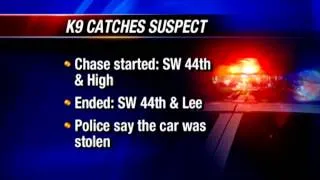 K-9 officer captures man fleeing stolen car, police say
