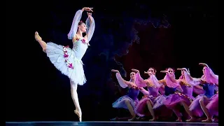 Bolshoi Future Prima Ballerina - Alena Kovaleva in Ballet Excerpts 2014 - 2021