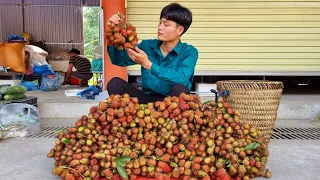 Harvest, rambutan, go to market to sell, live off the grid, forest life