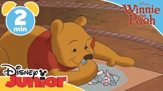 The Mini Adventures of Winnie the Pooh | Piglet's Drawings | Disney Junior UK