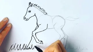 How to draw the cutest horse foal you've ever seen