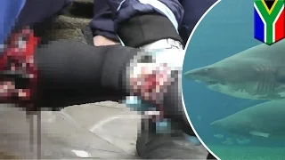 Shark attack: diver has arm ripped to shreds by pregnant ragged tooth shark in aquarium - TomoNews