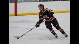 Is he the Most Underrated Player in the 2024 NHL Draft? Michael Hage Highlights