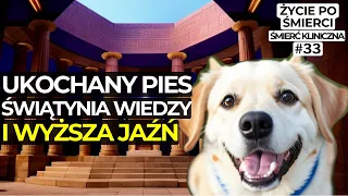 KOCHANY PIES, ŚWIĄTYNIA WIEDZY I WYŻSZA JAŹŃ | Życie po śmierci | Śmierć kliniczna | NDE | Jan Price