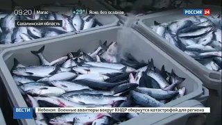 Россия 24 - Рыбонасосы на сахалине