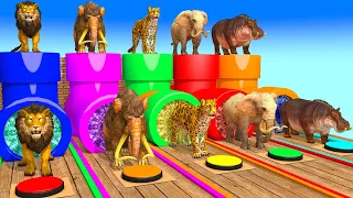 Cow Mammoth Elephant Tiger LION Hippo Guess The Right Door ESCAPE ROOM CHALLENGE Animals Cage Game