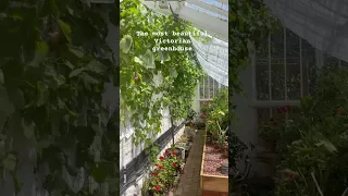 The most beautiful Victorian greenhouse at oxborough hall Norfolk