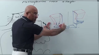 Pterygopalatine Fossa - Gross Anatomy