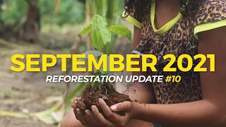 100,000 Trees Planted in Ghana and More | Reforestation Updates Episode 10 | One Tree Planted
