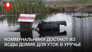 Коммунальники достают домик для уток с красно-белой крышей из воды в Уручье