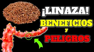 AMAZING! THIS is THE BEST WAY to EAT FLAXSEED| Water and Linseed Oil EVERY DAY