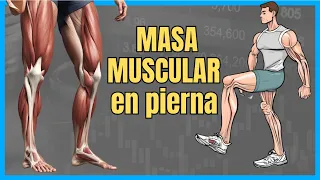 5 ejercicios QUE TODO ADULTO MAYOR debe hacer PARA GANAR MASA muscular en piernas