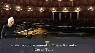 “Bimba dagli occhi pieni di malia...Vogliatemi bene” - Madama Butterfly - Puccini