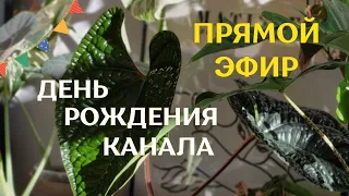 ПРЯМОЙ ЭФИР | 2 ГОДА ЮТУБ-КАНАЛУ