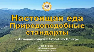 Настоящая еда - природоподобные стандарты производства биологически полноценных продуктов и напитков