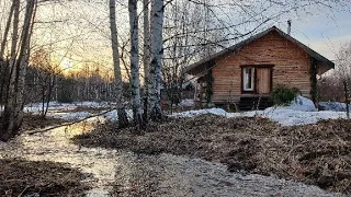 Апрель в Кедросаде