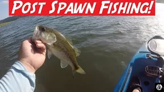 Post Spawn Bass Fishing at Coyote Lake