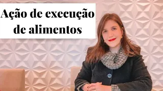 Como é a Ação de Execução de Alimentos | Natália Fachini