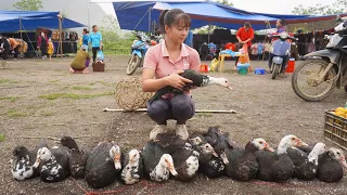 Harvesting Geese Go To Market Sell, Buy Baby Geese To Raise || Phương - Free Bushcraft